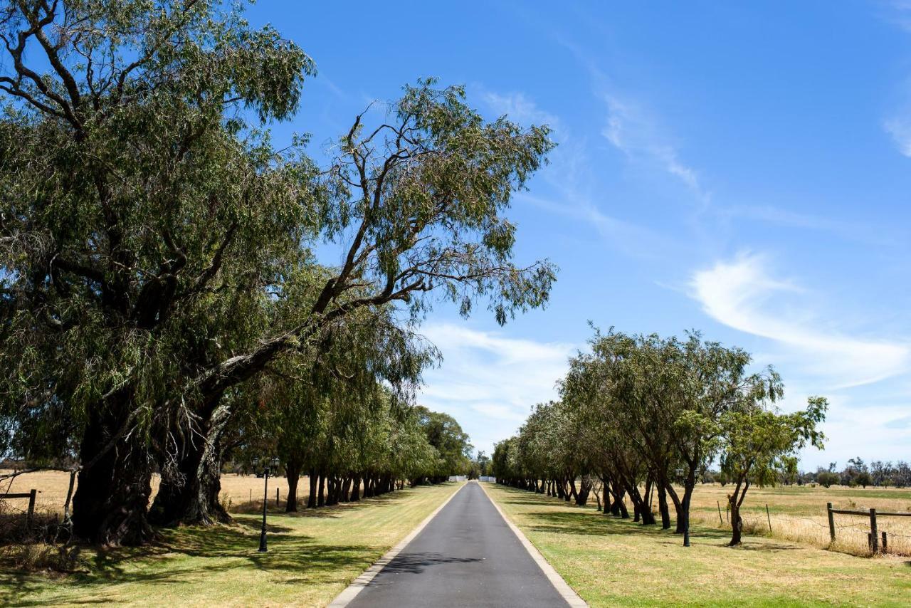Fairlawn Estate Guest House Busselton Bagian luar foto